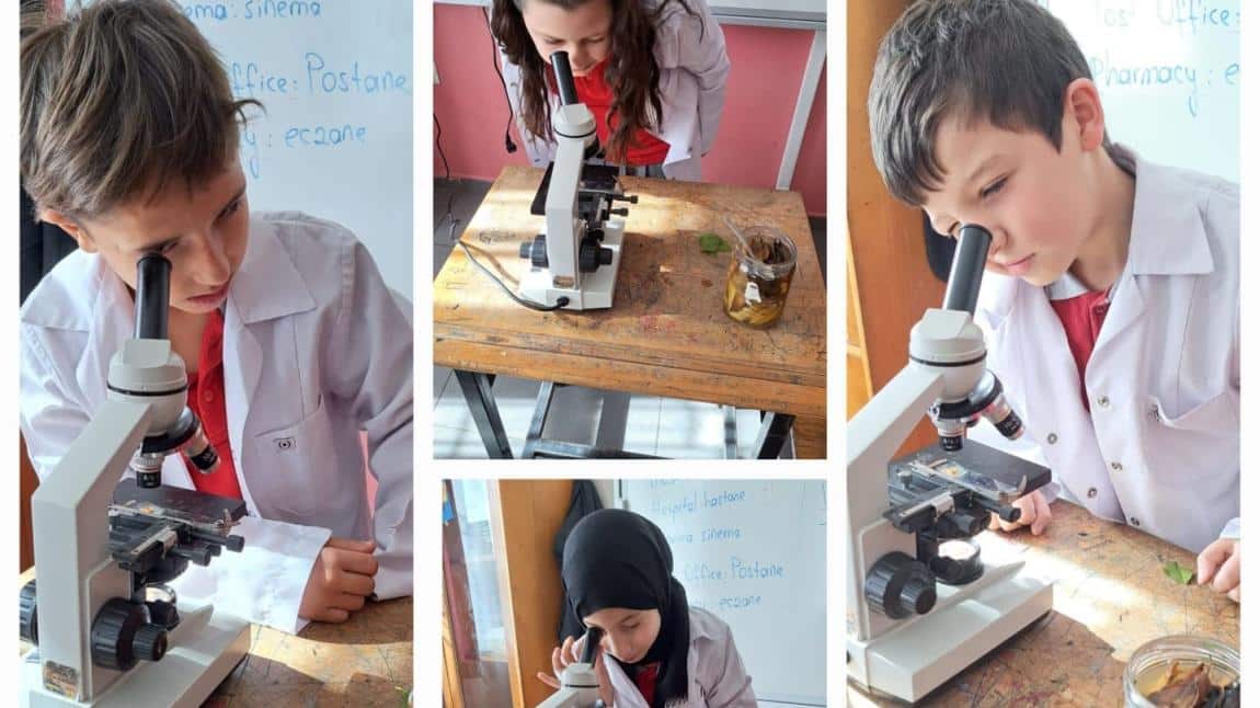 3-A Sınıfı Öğrencileri Mikroskop İle İncelemeler Yaptılar