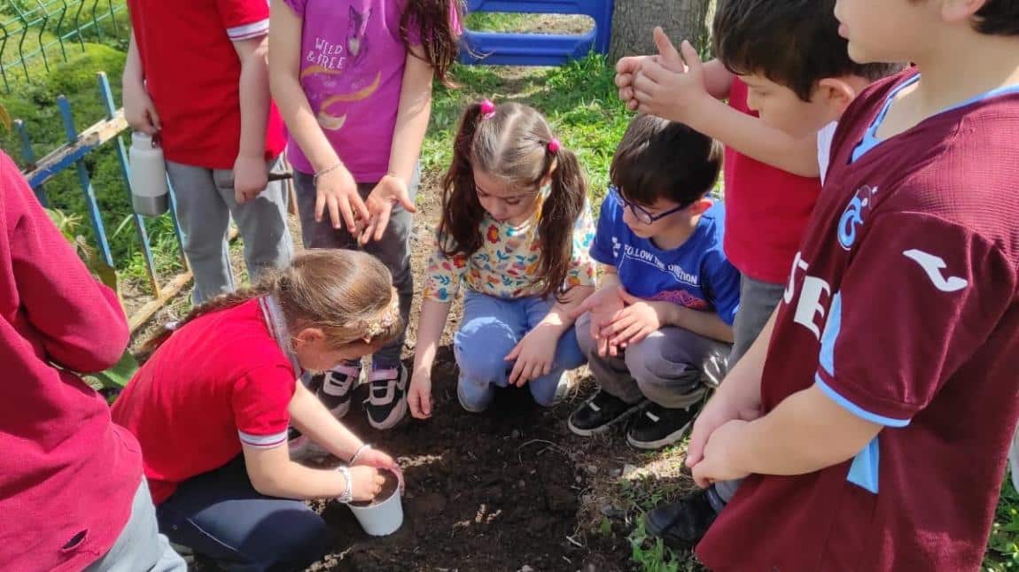 2-A Sınıfı Tohum Dikme Etkinliği
